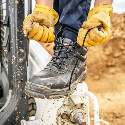 plantari per il lavoro